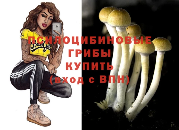 ECSTASY Верея