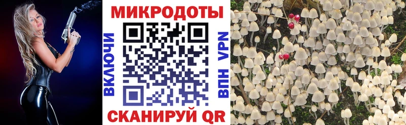 Галлюциногенные грибы Psilocybe  Купить где  Павловский Посад 